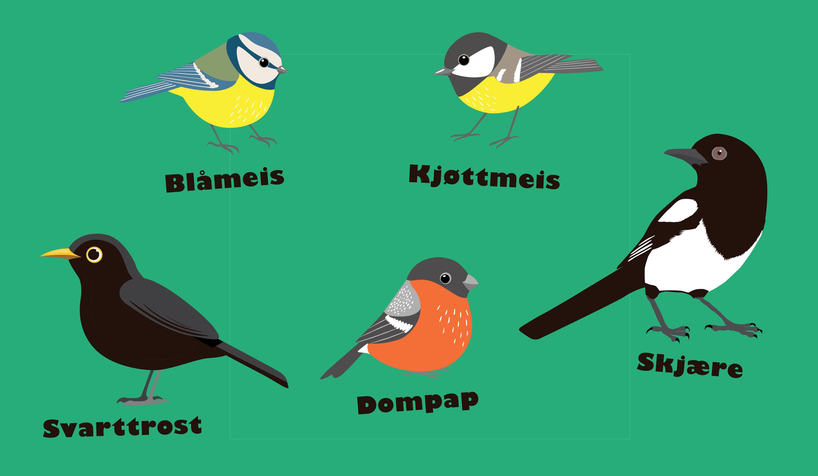 tegning av blåmeis, kjøttmeis, svarttrost, dompap og skjære