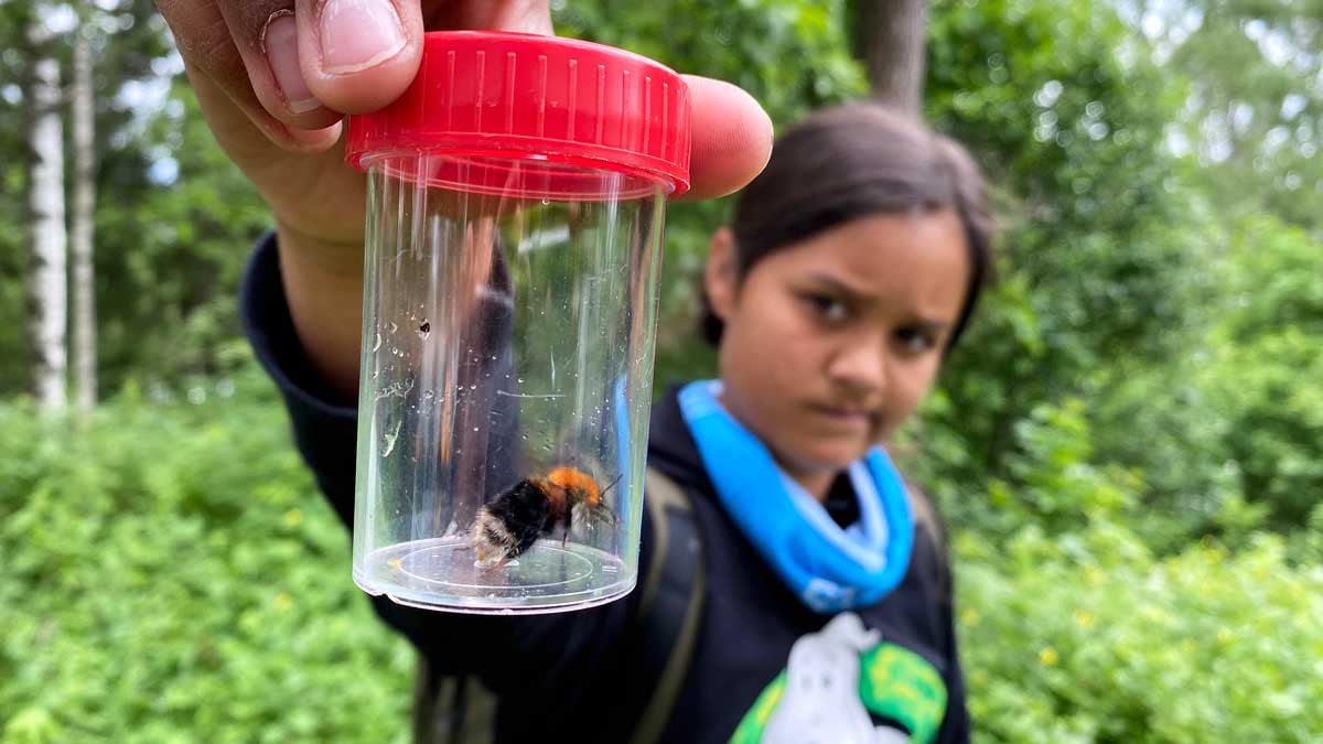 Jente studerer humle inni prøveglass