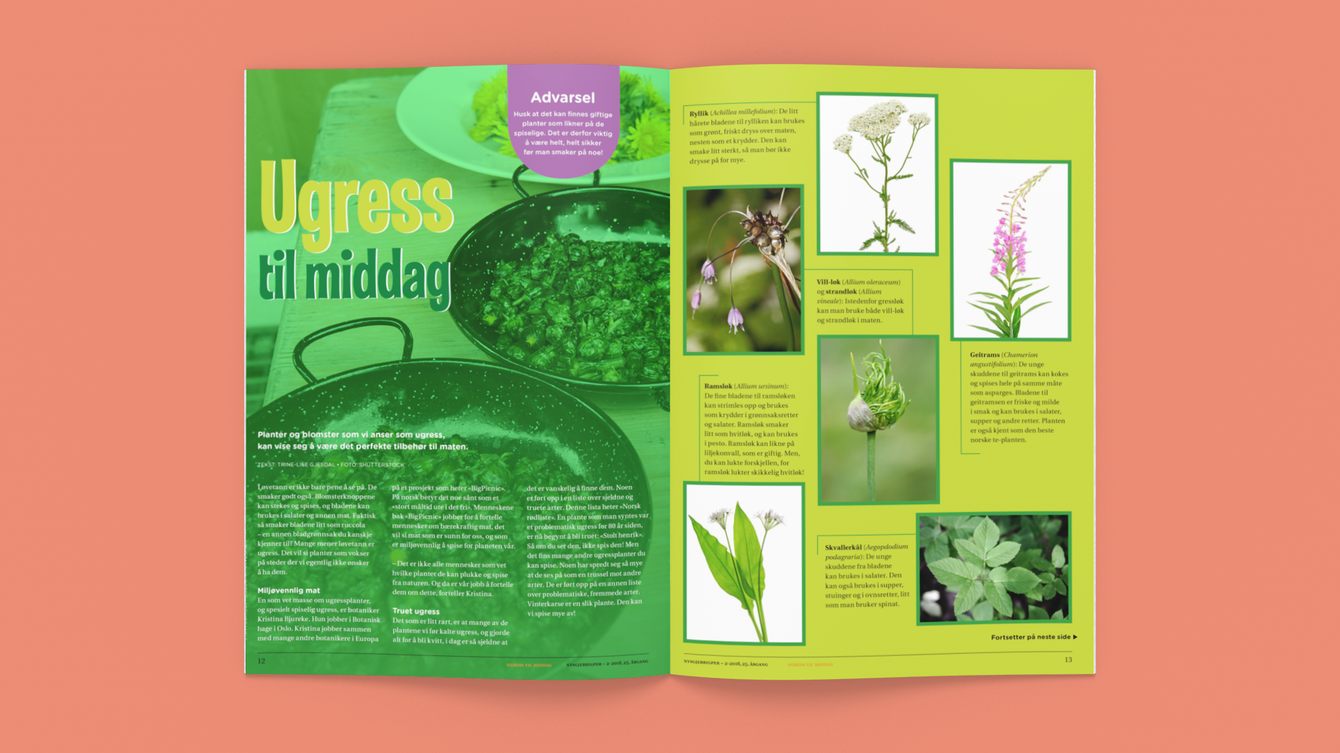 Artikkelen Ugress til middag slått opp og med rød bakgrunn