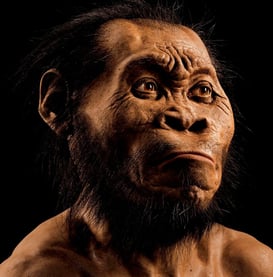 En modell av hvordan stjernemennesket ville sett ut.