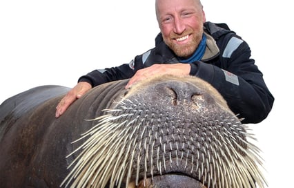 Nærbilde av forsker Audun Rikardsen som holder rundt en hvalross.