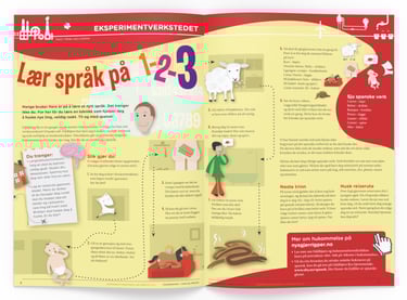 Illustrasjon av hva du trenger og hvordan du skal gjennomføre eksperimentet