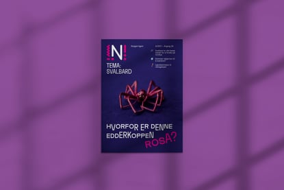 Nysgjerrigperblad med edderkopp på