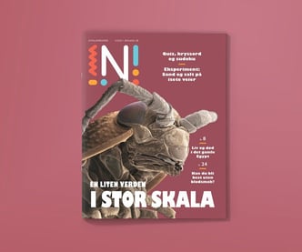 Forside av Nysgjerrigper-bladet med mikroskopbilde av insekt og teksten En liten verden i en stor skala  mot lilla bakrgunn. 