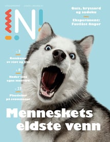 Forsiden av Nysgjerrigperblad med huski på fremsiden