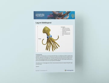 Innstruksjonsark for hvordan man lager en blekksprut