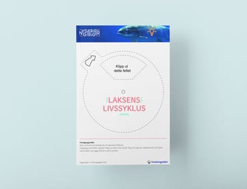 Oppgaveark om laksens livssyklys