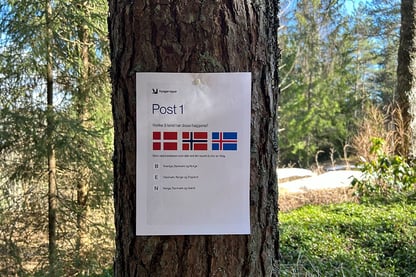 Et ark med oppgave på som henger på et tre. Oppgaven handler om nordiske flagg.