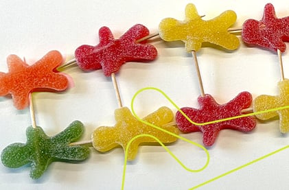 Seigmenn i ulike farger satt sammen med tannpirkere for å illustrere DNA-funksjon