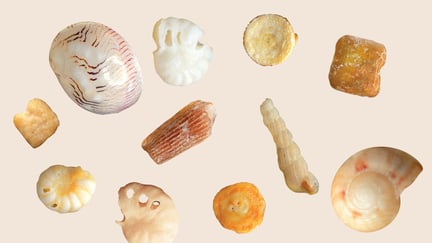 Sand forstørret 300 ganger