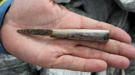 Liten kniv med treskaft og rustent blad