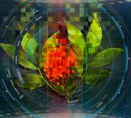 Rødhyll med datagrafikk rundt