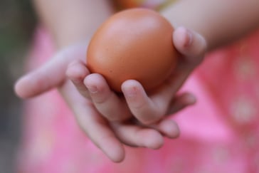 Et barn holder egg i hånda