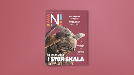 Forside av Nysgjerrigper-bladet med mikroskopbilde av insekt og teksten En liten verden i en stor skala  mot lilla bakrgunn. 