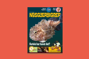 Forsiden av Nysgjerigperblad med fisk på forsiden