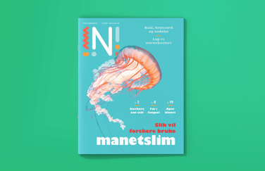 Forsiden til Nysgjerrigper 2-2019 med bilde av manet og teksten Slik vil forskere bruke manetslim