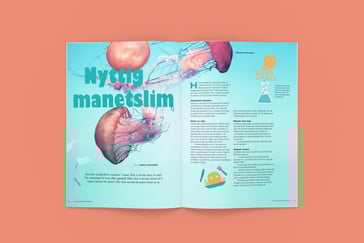 Bilde av artikkelen slik den ble vist i Nysgjerrigper-bladet