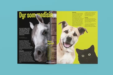 BIlde av artikkelen Dyr som medisin, slik den ble vist i Nysgjerrigper-bladet.