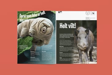 Bilde av artikkelen slik den ble vist i Nysgjerrigper-bladet