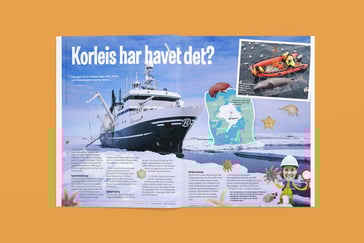 Bilde av Nysgjerrigperartikkel oppslått "Korleis har havet det?"