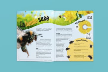 Oppslått Nysgjerrigperartikkel om humler