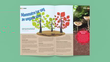 Artikkel Mammatre tar seg av ungane sine oppslått på grønn bakgrunn