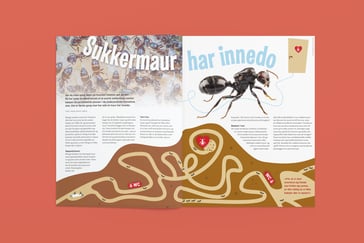 Bilde av artikkelen slik den ble vist i Nysgjerrigper-bladet