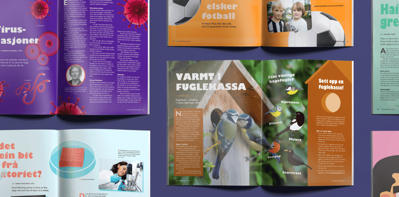 Artikler fra Nysgjerrigper 2-20 om fotball, fuglekasser og virus