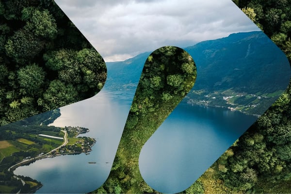 To bilder kombinert: Grønn skog og et bilde av en fjord