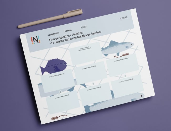 Bilde av oppgavearket med overskriften Finn perspektiver i teksten og under 7 bokser å skrive inn i med spørsmål over.