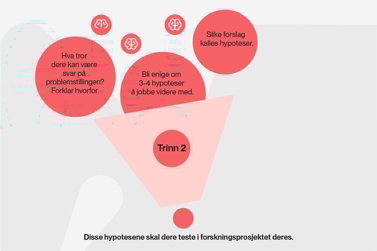 Illustrasjonen viser hva dere skal gjøre på trinn 2 i nysgjerrigpermetoden.