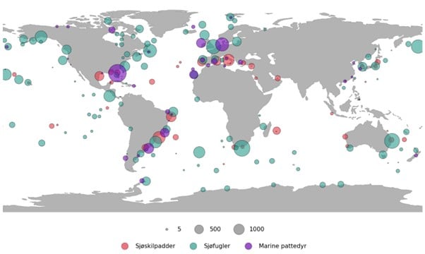 kart over verden som viser hendelser fra verden der havskilpadder, sjøfugler og sjøpattedyr er funnet med plast i magen