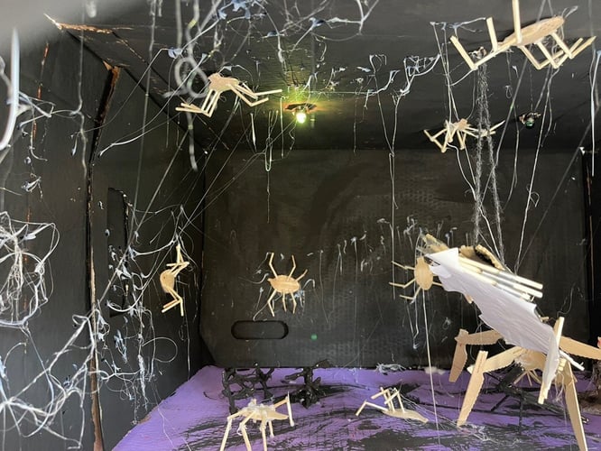 Bildet vises innholdet i boksen som skal gjøre deg redd. Veggene er malt svarte, det er et grønt lys i taket og rommet er fylt med insekter, edderkopper og spindelvev laget av pinner og lim