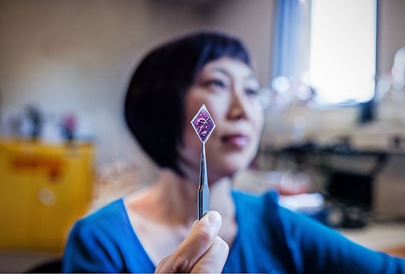 Forsker Xiaolin Zheng holder opp tynne, små solcelleklistremerker 
