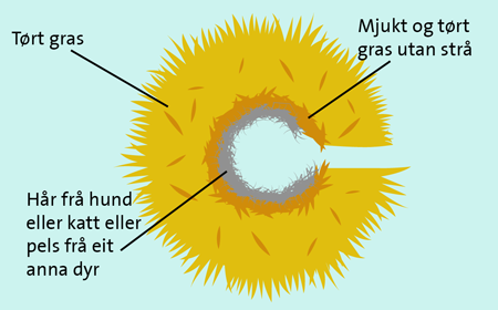 Illustrasjon for hvordan man kan lage et humlebol.
