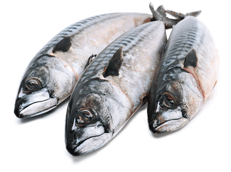 Tre døde fisk som ligger ved siden av hverandre