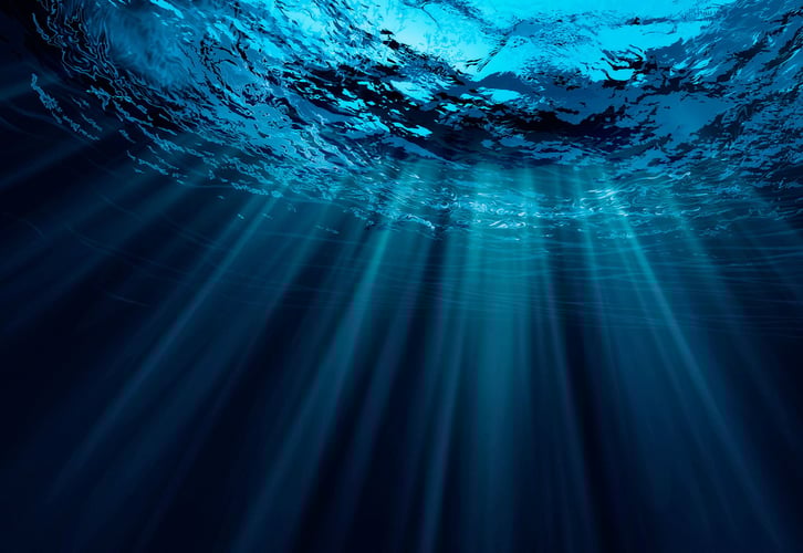 under vannoverflaten mens lyset skinner gjennom.