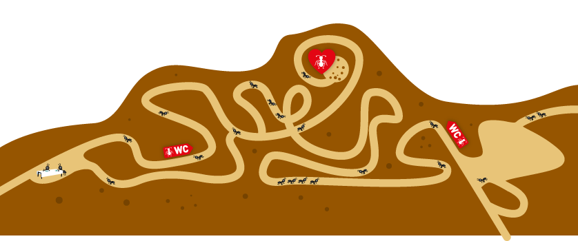 Illustrasjon av en maurtue med ganger og doer.