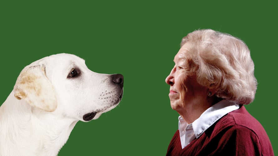 Dame og hund sitter ovenfor hverandre