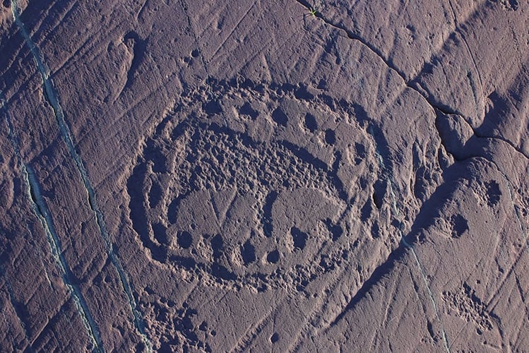 Helleristninger av et bjørnehi med bjørnespor rundt.