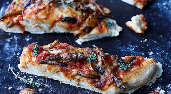 Pizza med larver og insekter.