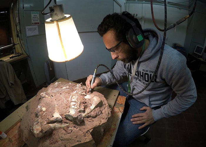 En tekniker som jobber med å rengjøre Intentia Prima-knoklene.