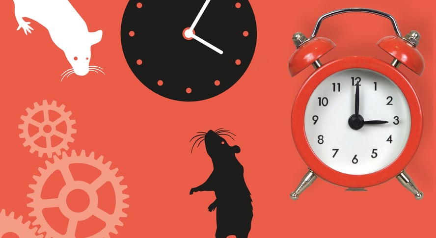 Illustrasjoner av tid med klokker og urskiver