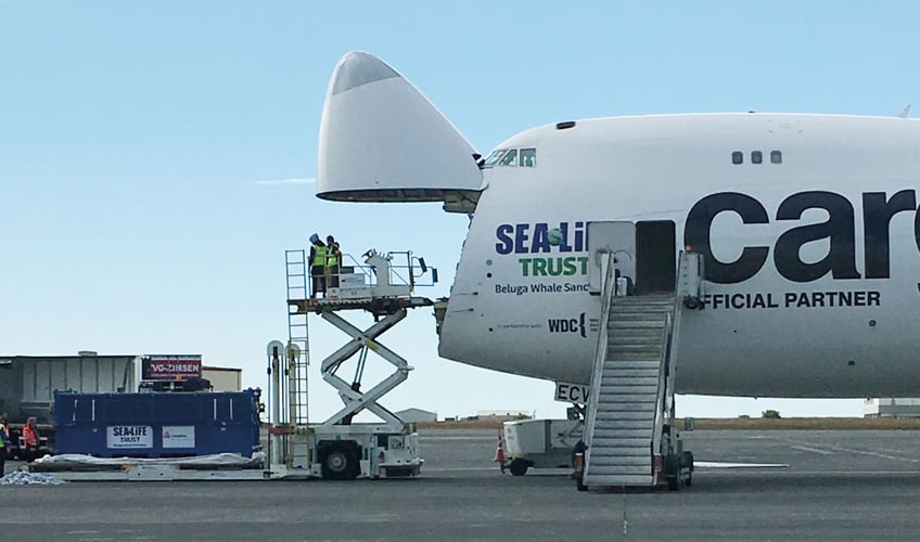 Fly med åpent lasterom og Sea Life Trust-logo