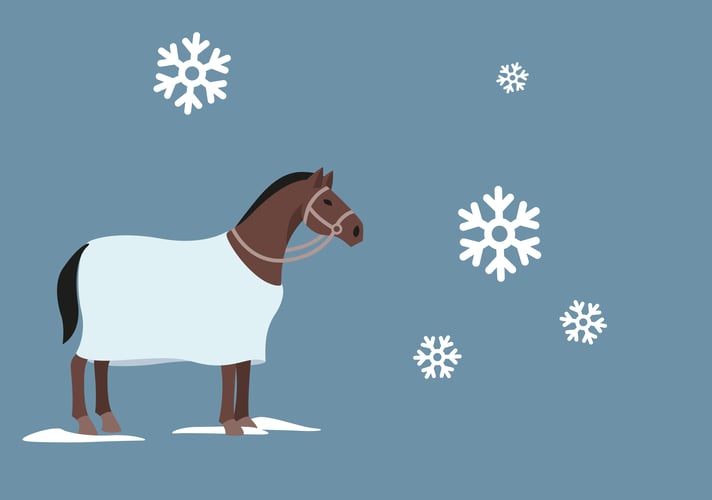 Illustrasjon av en hest som står ute i kulda med et dekken over seg.