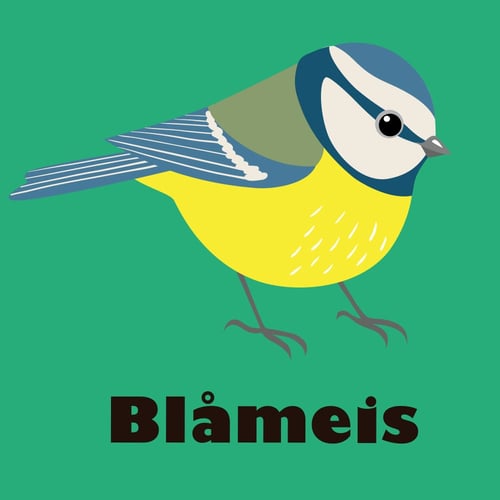 tegning av en blåmeis mot grønn bakgrunn