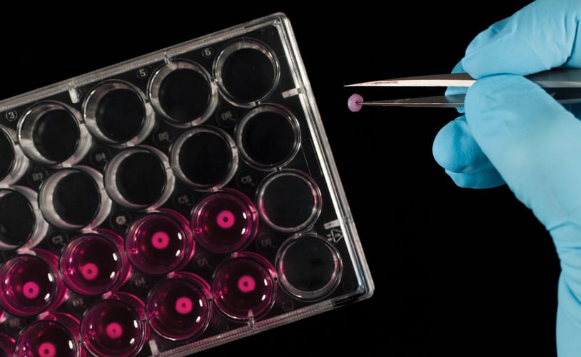 Hånd med blå hanske plasserer små runde 3D-printede kjøttbiter i rosa væske