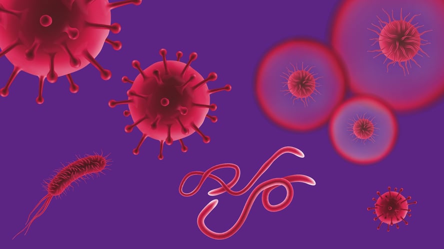 Illustrasjon av ulike virus i rødt mot lilla bakgrunn