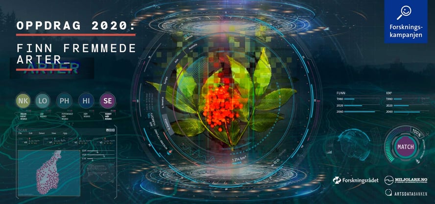 Oppdrag 2020: Finn fremmede arter. Foto av rødhyll med datagrafikk rundt