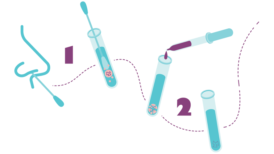 Tallet 1 ved siden av en bomullspinne i en nese, og deretter i et reagensrør. En stiplet linje går videre til tallet 2 der en pipette drypper noe i reagensrøret.